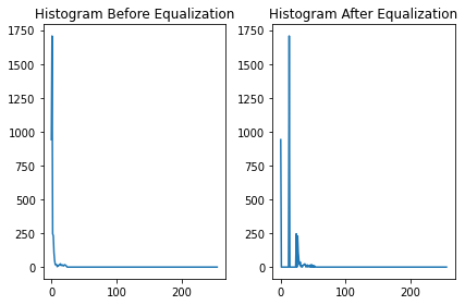 X-ray image before and after equalization